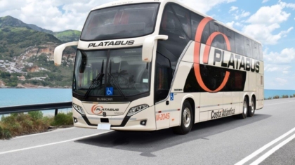 Platabus (3)