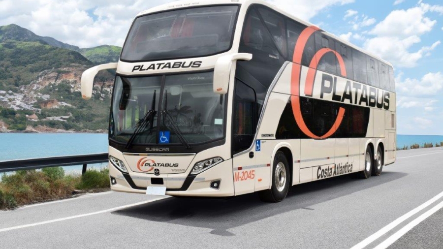 Platabus (3)
