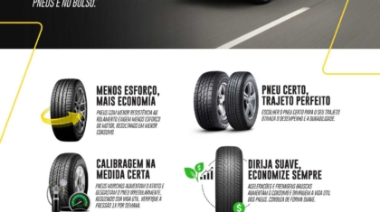 Economia-de-Combustivel