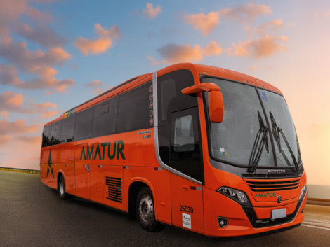 post_amatur-EB340-1-819x1024