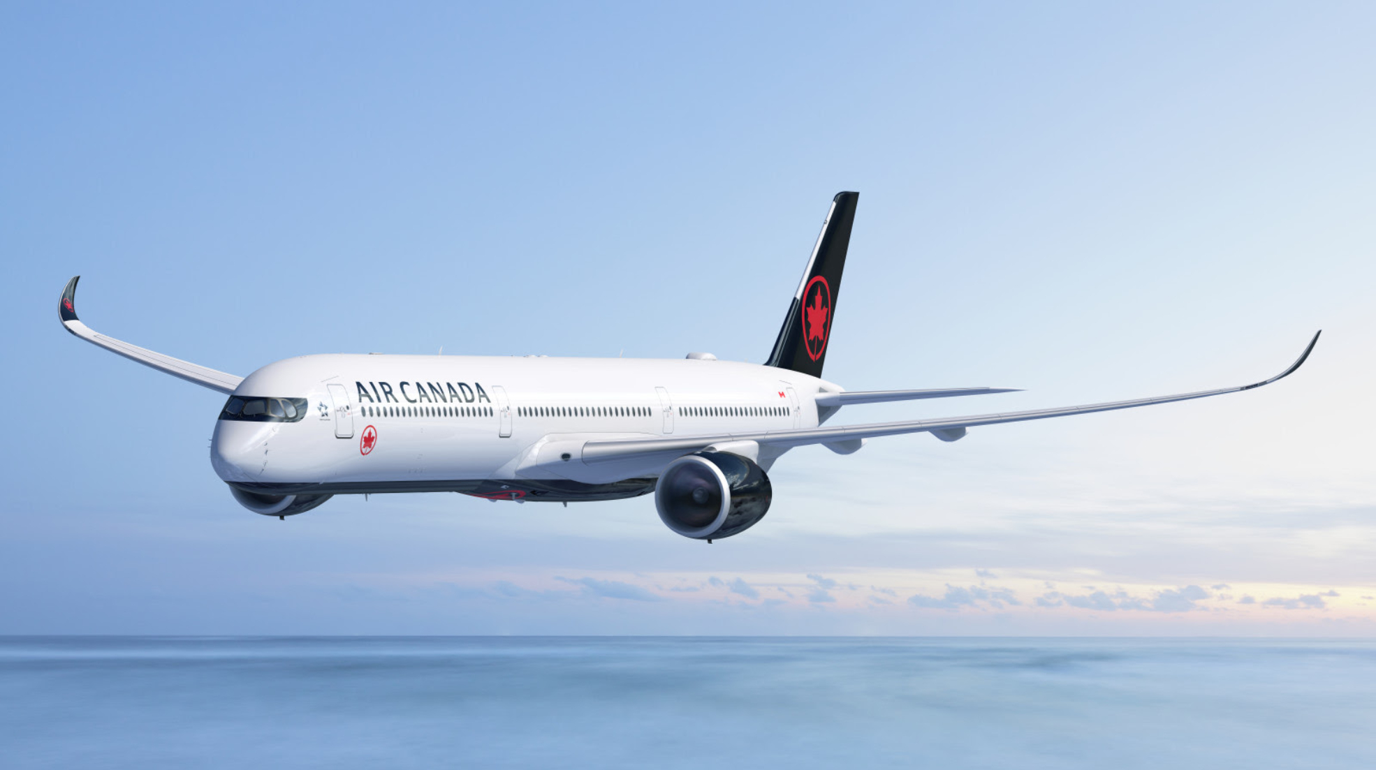 unnamed - 2026-02-14T120912.448