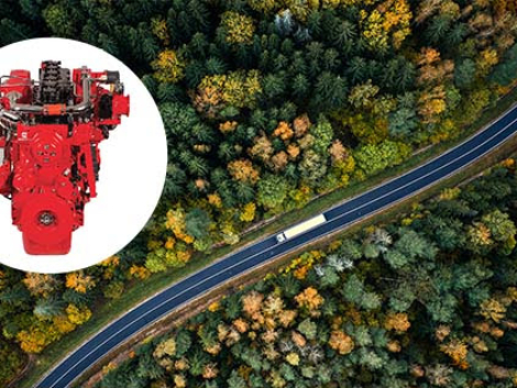 unnamed - 2026-03-12T112609.105