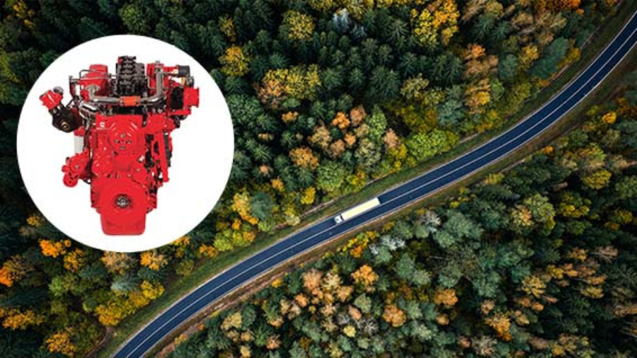 unnamed - 2026-03-12T112609.105