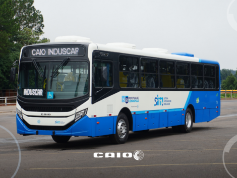 consorcio_fenix_caio