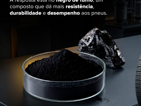 Infográfico Borracha Dunlop 3