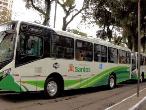 francisco_arrais_52542