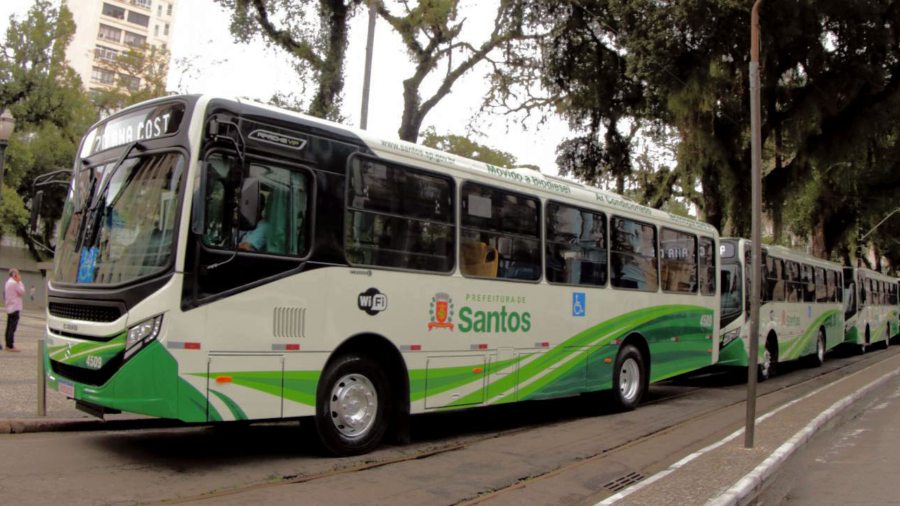 francisco_arrais_52542