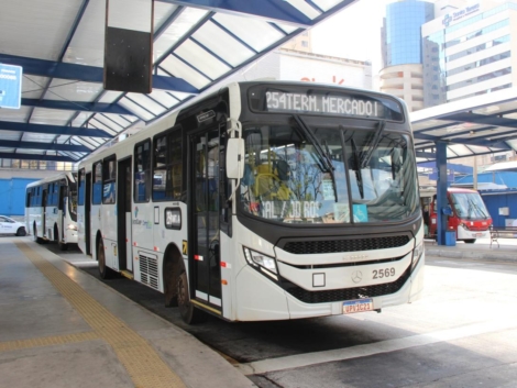 Novos Onibus Campibus - Linha 254 (5) (1)